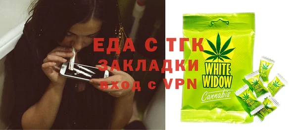 индика Волоколамск