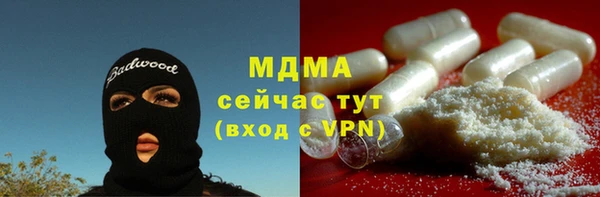 индика Волоколамск
