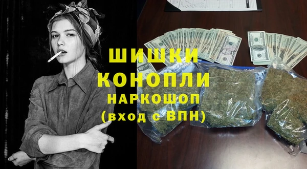 индика Волоколамск