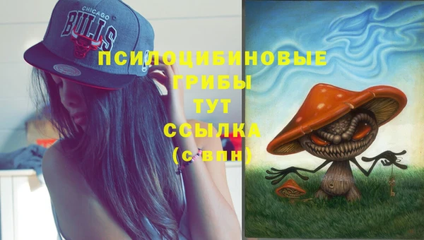 индика Волоколамск