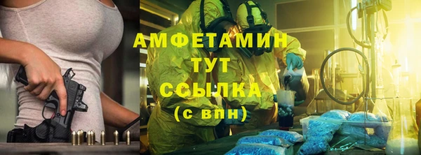 индика Волоколамск